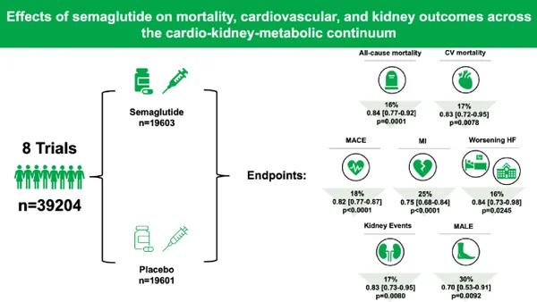 Semaglutide verlaagt mortaliteit, CV-events én nierschade in alle stadia van CKM-syndroom: meta-analyse van 39.204 patiënten