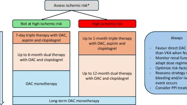 OAC-monotherapie is superieur aan combinatie met antiplatelets bij stabiele CCS en atriumfibrilleren
