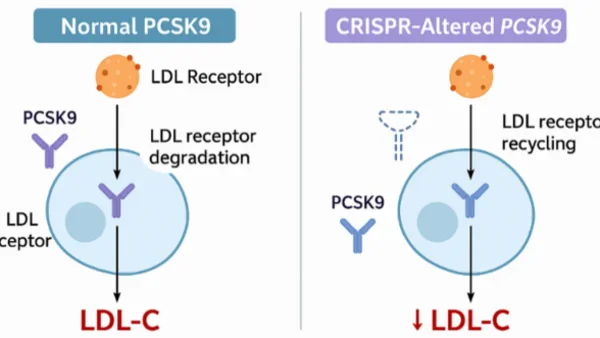 Biotechnologie en AI veranderen precisielipidenmanagement — van PCSK9 tot CRISPR