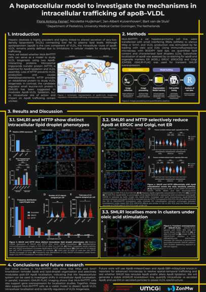 Poster: A hepatocellular model to investigate the mechanisms in intracellular trafficking of APOB–VLDL