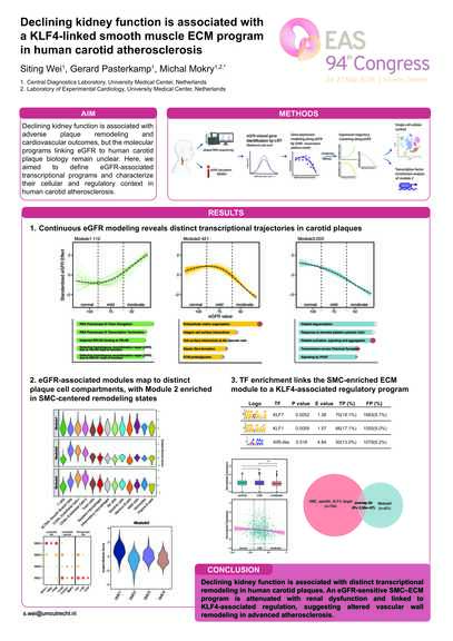 Poster: Declining kidney function is associated with a KLF4-linked smooth muscle ECM program in human carotid atherosclerosis